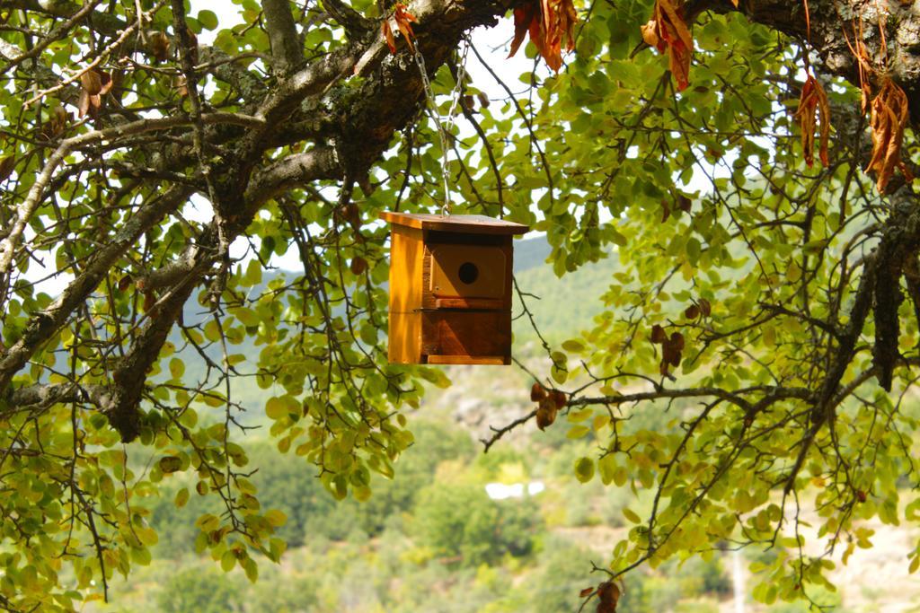 Albergue Turistico Via De La Plata Banos De Montemayor Exteriör bild